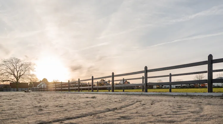 De Sutter Naturally, 45 ans d’histoire!