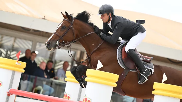Avec Julien Épaillard, Martinius Pkz pourrait trouver le chemin des Grands Prix 5* dès la saison prochaine.