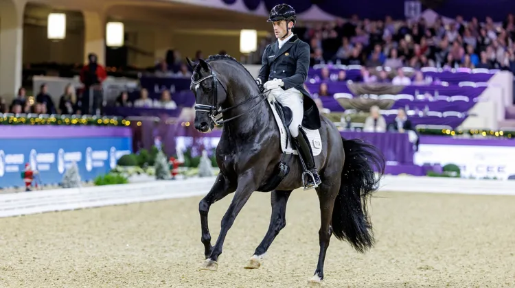Ce week-end à Francfort, Justin Verboomen et Zonik Plus ont atteint de nouveaux sommets.