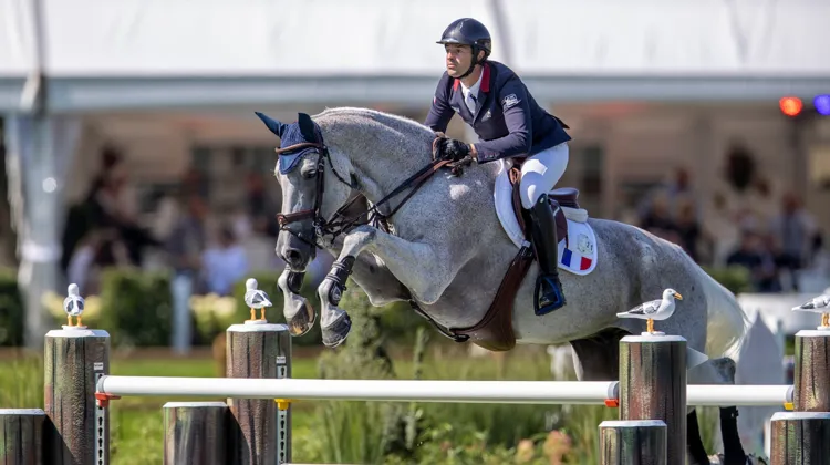 “Quel Filou 13 a été un fidèle compagnon sur lequel j’ai toujours pu compter” , a notamment écrit le Normand sur les réseaux sociaux. 