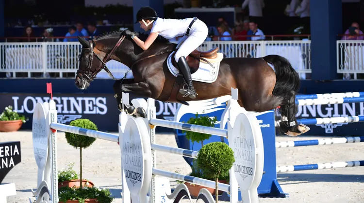 Le superbe étalon performer Cinsey, la nouveauté déjà confirmée