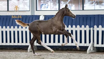 Vente aux enchères du 29 au 30 août