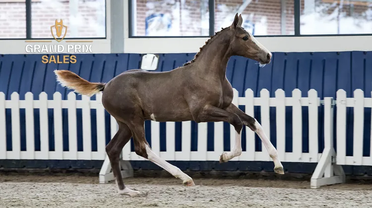 Vente aux enchères du 29 au 30 août