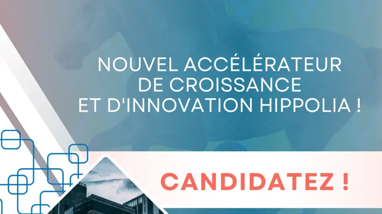 Lancement de l’Accélérateur de croissance et d’innovation Hippolia