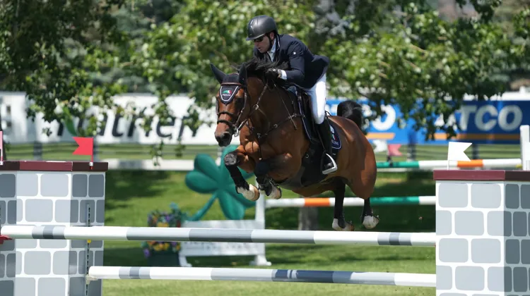 Avec son hongre de dix-sept ans Count Me In, Conor Swail a dominé un barrage à quatre.