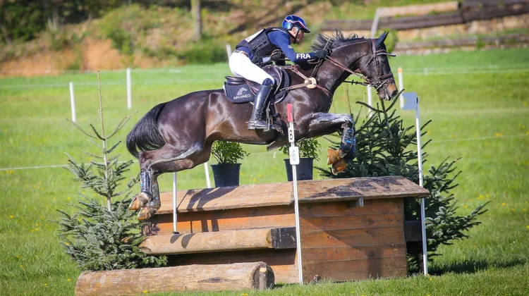  Pouvant notamment compter sur le jeune et prometteur Embrun de Reno, Karim Laghouag songe déjà aux Jeux olympiques de Los Angeles, en 2028.