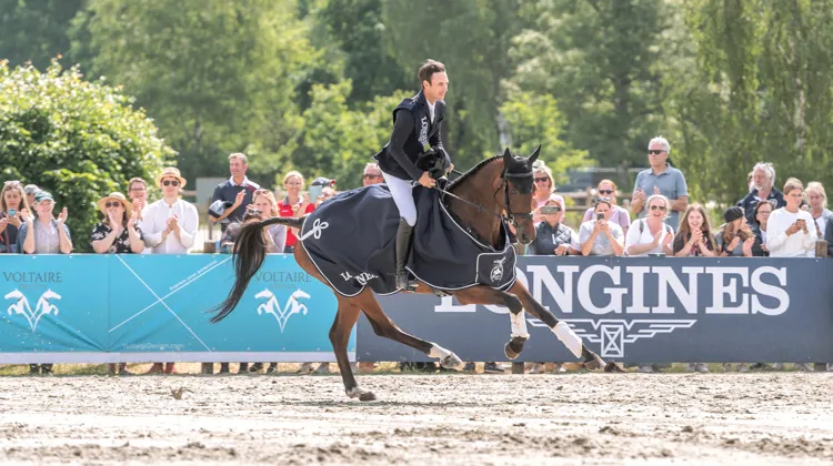 Colero a offert un beau cadeau d'anniversaire à son cavalier aujourd'hui!