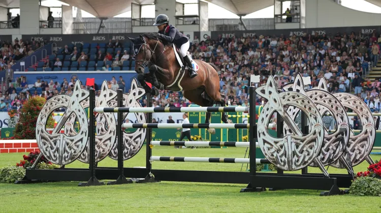 Ici, lors du Grand Prix du CSIO 5* de Dublin en 2024, Deuxcatsix d'Eglefin avait notamment performé sous les selles de Marie Pellegrin et Benoît Cernin avant de rejoindre la jeune Sophie Evans.