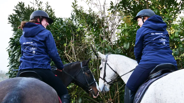 Les journées portes ouvertes 2024 à la Bergerie nationale de Rambouillet 
