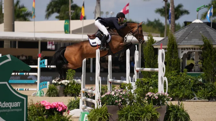 McLain Ward et First Lady sur la route de la victoire. 