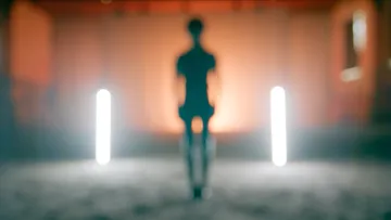 THE INVISIBLE EMOTION