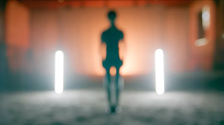 THE INVISIBLE EMOTION