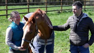Marine Barlet et Julien Blot sont fiers de Maloubet de Pléville, leur étalon et cheval de cœur.