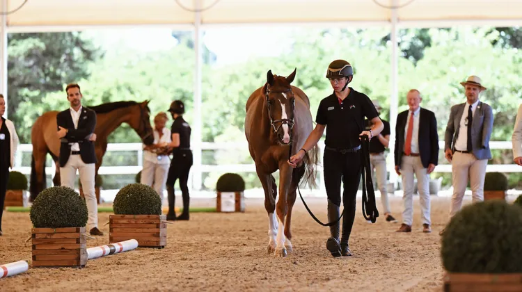 L’an dernier, Charles Berthol a pris part aux Européens Jeunes d’Oliva avec Lauren S.  