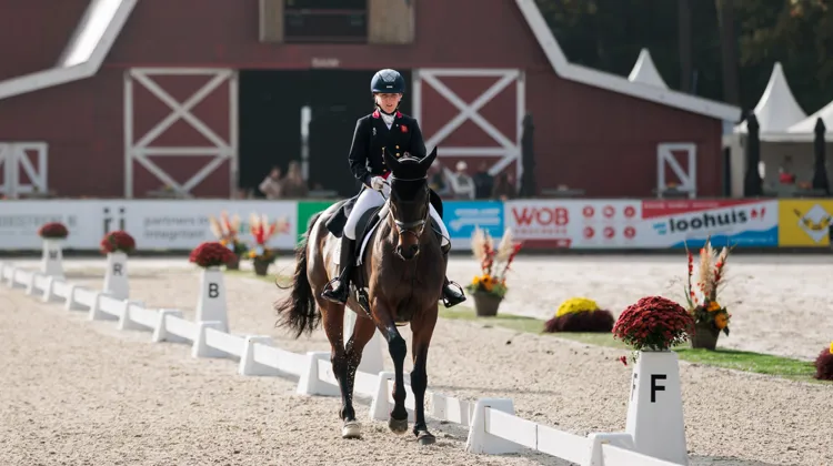 Laura Collett et Count Onyx ont signé la meilleure reprise au CCIO 4*-L de Boekelo