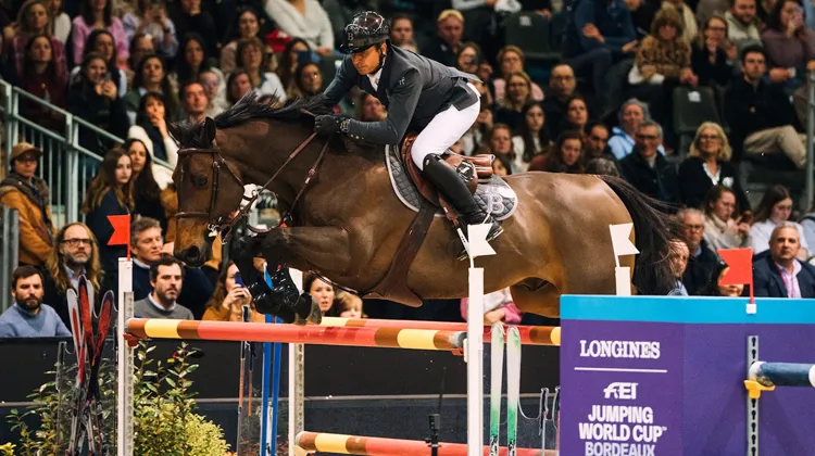 Ici avec Donatello d'Auge, Julien Épaillard tentera sa chanace aux rênes d'Easy Up de Grandry, cette année à Bordeaux