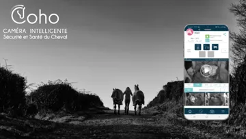  Coho : l'intelligence artificielle au service de la santé, la sécurité et la performance équine. 