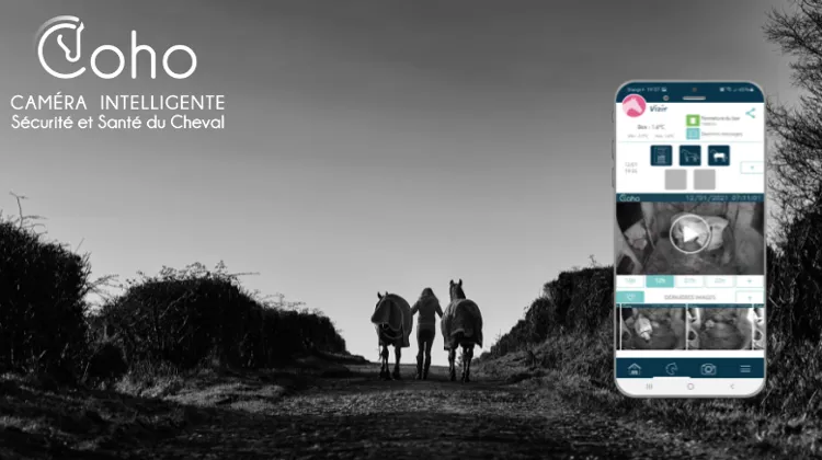 Coho : l'intelligence artificielle au service de la santé, la sécurité et la performance équine. 