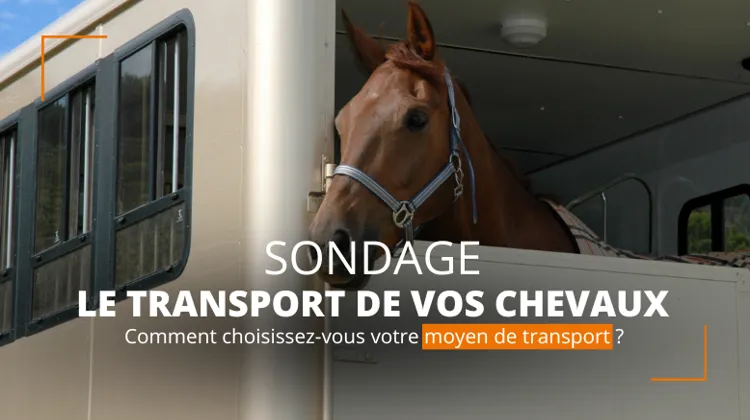 SONDAGE | Comment choisissez-vous votre moyen de transport ? 