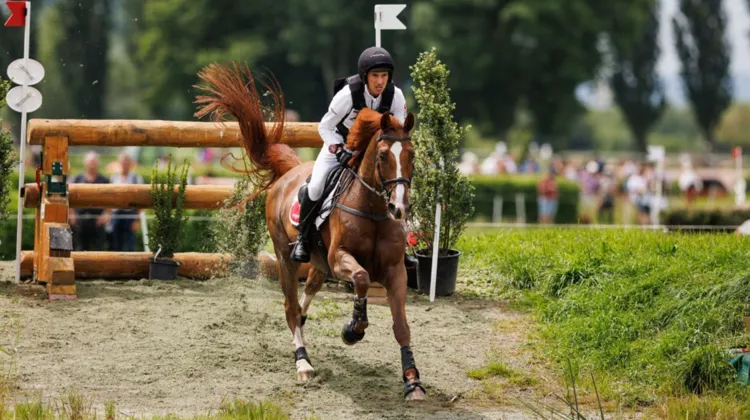 Felix Vogg et Dao de l'Océan lors du CCIO d'Avenches en 2024.