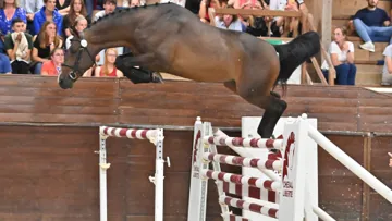 Kitoko du Bust a conquis le public aussi bien dans la salle qu’à travers l’écran et a été adugé 92 000 euros sur le web.