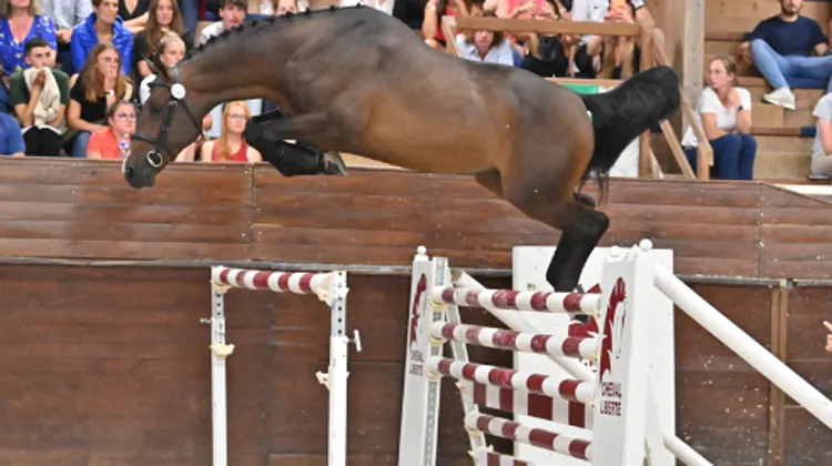 Kitoko du Bust a conquis le public aussi bien dans la salle qu’à travers l’écran et a été adugé 92 000 euros sur le web.