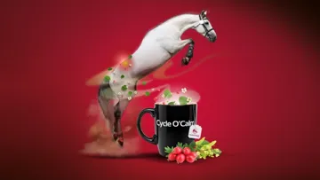 Cycle O’Calm, pour le bien-être et la performance de vos juments