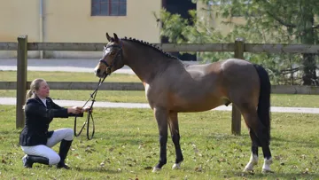 Salomé Schmitt est ici aux côtés de son protégé, Very Star Kerveyer. 
