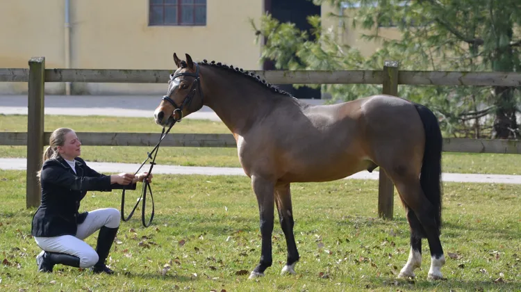 Salomé Schmitt est ici aux côtés de son protégé, Very Star Kerveyer. 
