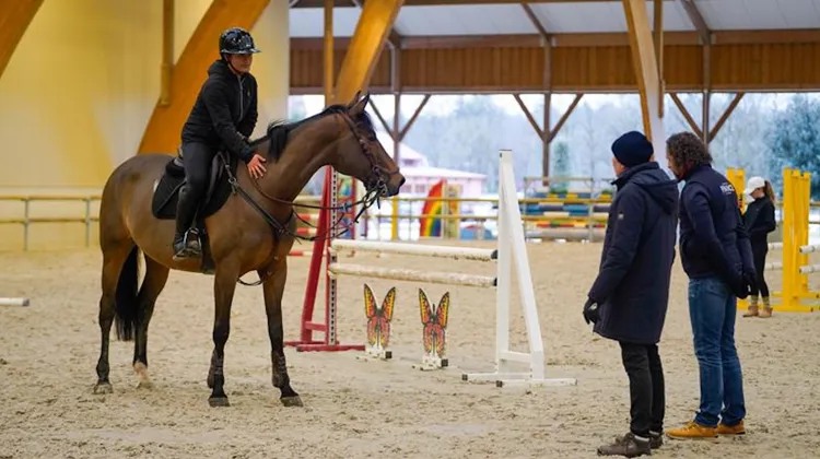 Les élèves ont pu profiter des conseils d'intervenants experts