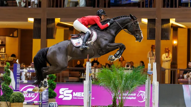 Lors de la finale de la Coupe du monde Longines, Chromatic BF, qui n’avait que très peu d’expérience internationale, s’était montré absolument exceptionnel.