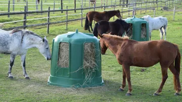 Tout l’univers équestre à prix promotionnels : l’offre de printemps de La Gée est arrivée !