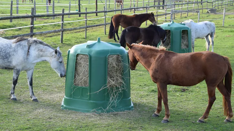 Tout l’univers équestre à prix promotionnels : l’offre de printemps de La Gée est arrivée !