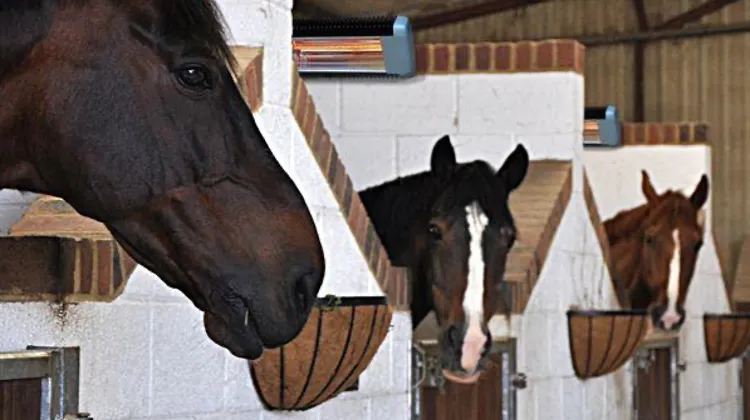 “Un solarium d’un autre type, pour une couverture complète du corps du cheval !”
