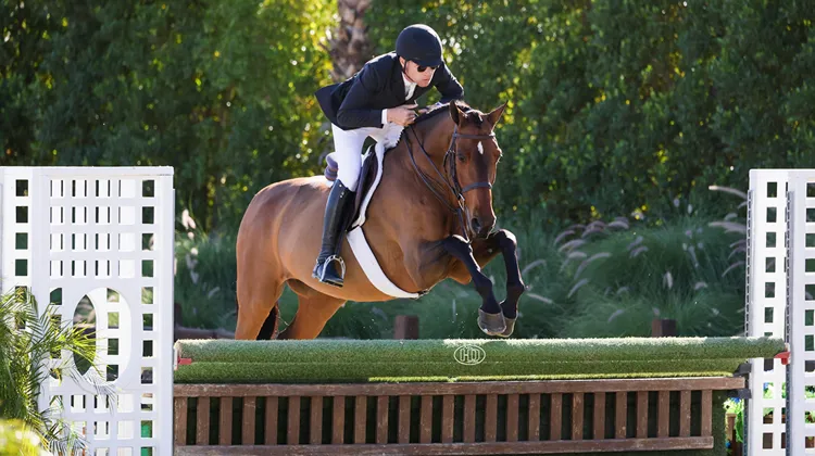 Karl Cook s'est essayé pour la première fois au hunter et a remporté la phase d'obstacle sur le jeune Chamonix.