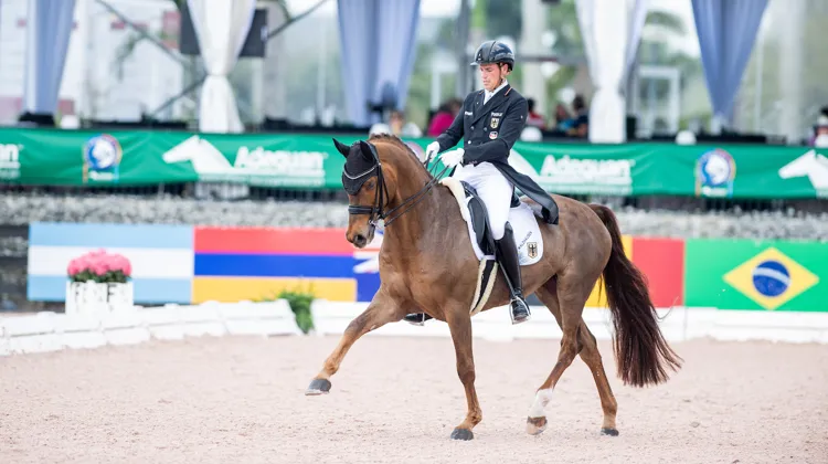 Frederic Wandres et Harrods 3.