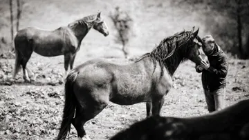 C’est quoi un homme de cheval?