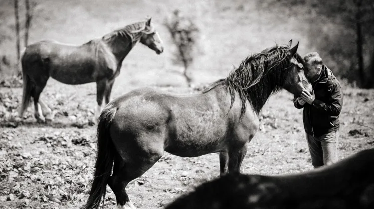C’est quoi un homme de cheval?