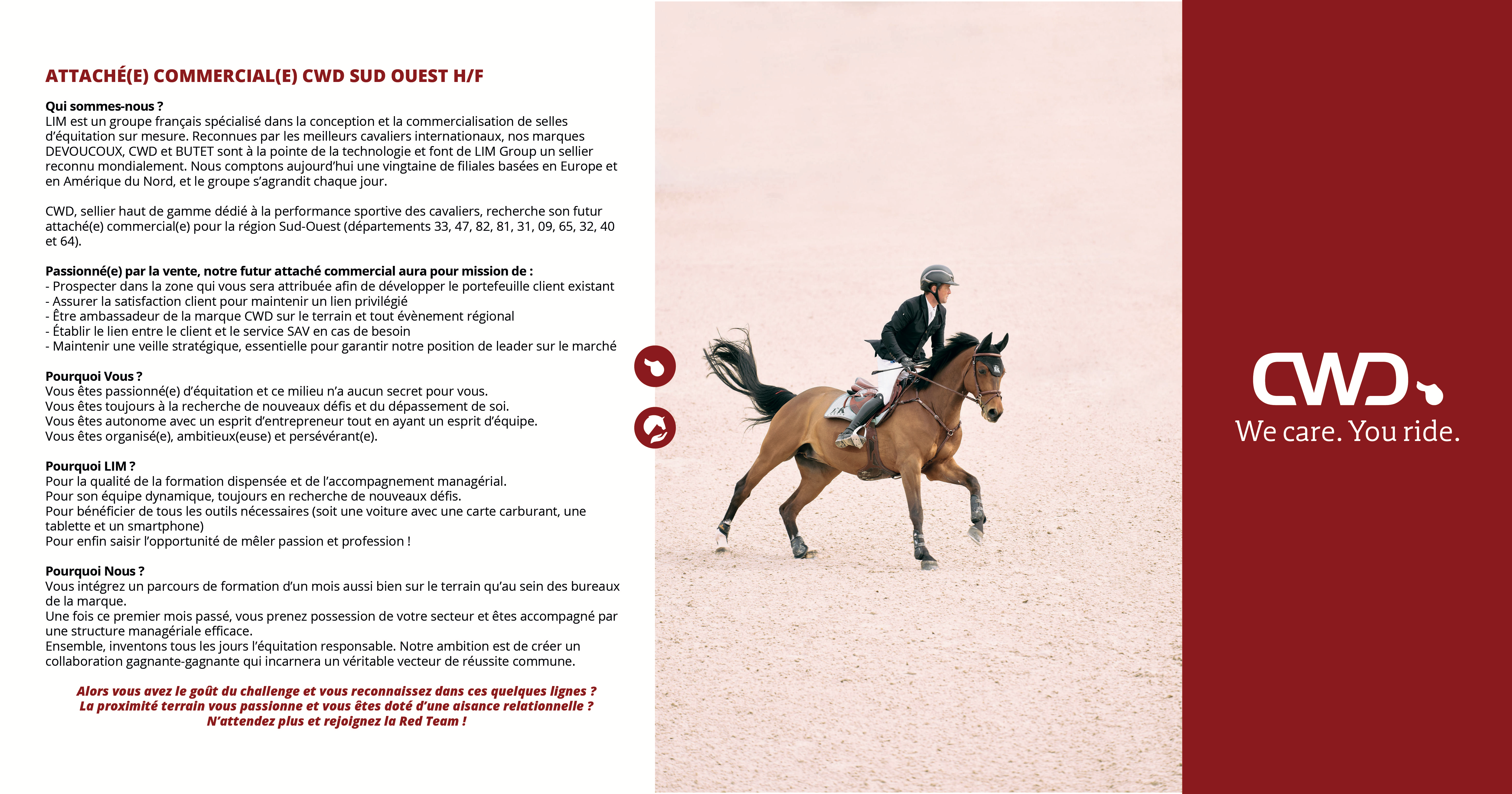 Approved stallions & talented young horses for sale at Zangersheide.