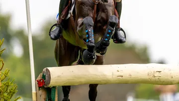 Le week-end dernier, à Blenheim, une pénalité infligée à Astier Nicolas a relancé le débat concernant l’usage des MIMs. 