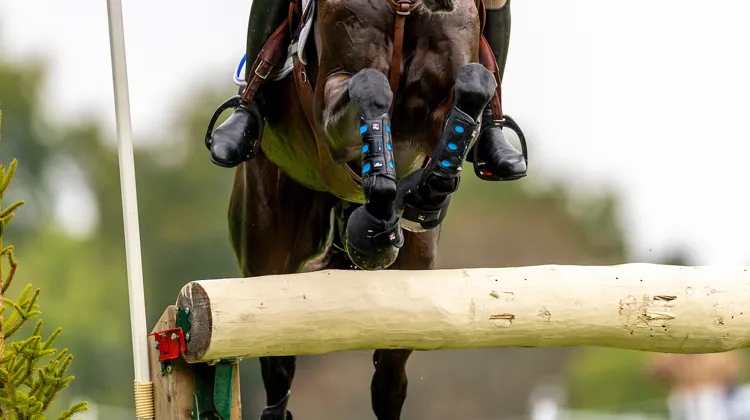 Le week-end dernier, à Blenheim, une pénalité infligée à Astier Nicolas a relancé le débat concernant l’usage des MIMs. 
