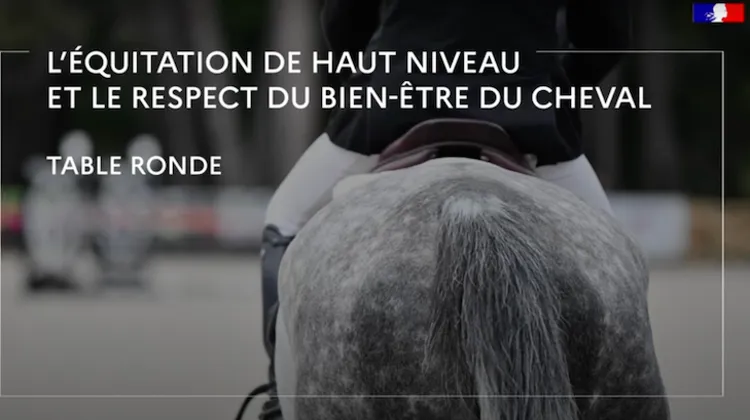 Bien-être animal au plus niveau : continuer l’éducation et renforcer la communication