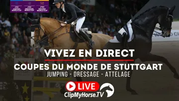 Suivez quatre étapes des Coupes du monde FEI sur ClipMyHorse.tv ce week-end
