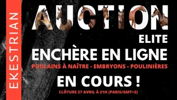 La vente aux enchères est ouverte