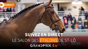 Vivez le Salon des étalons de Saint-Lô avec Kamel Boudra aux commentaires sur GRANDPRIX.tv