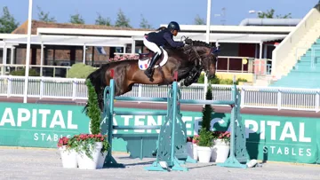 Projecteurs sur… Up to You*GFE