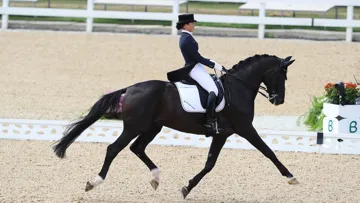 Ici aux Jeux olympiques de Rio de Janeiro en 2016, l’Allemande Kristina Bröring-Sprehe et son élégant Desperados FRH obtenaient régulièrement d’excellentes notes au trot allongé.
