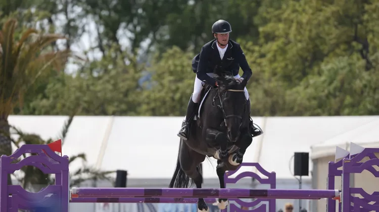 Niels Bruynseels et Matador à Grimaud. 