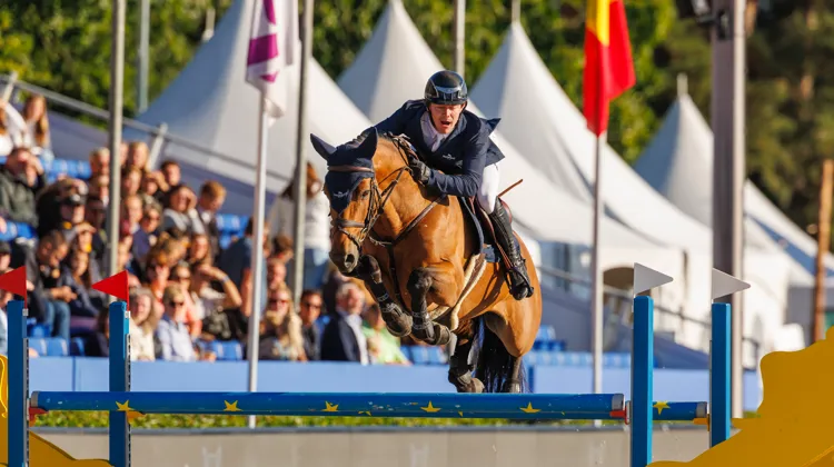 Haras de Hus Online Auction, des embryons médaillés d’or! 