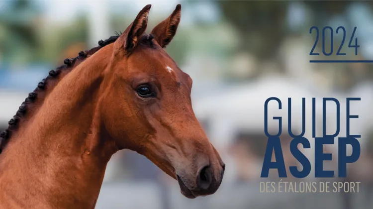Le Guide ASEP des étalons de sport est disponible!
